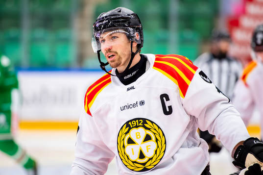 Brynäs Anton Rödin