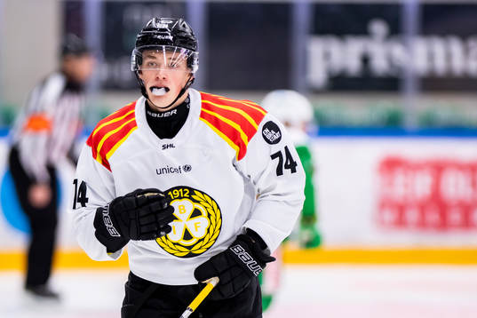 Brynäs Noel Gunler