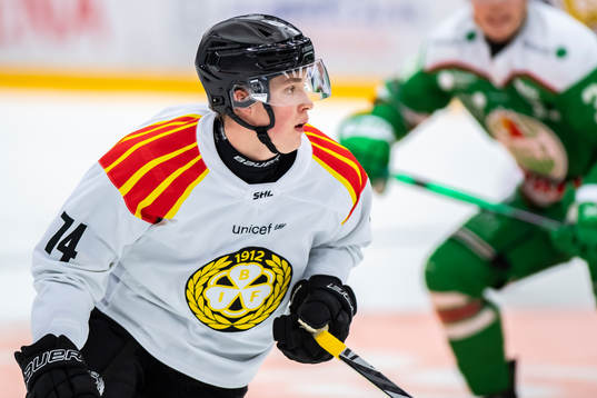 Brynäs Noel Gunler