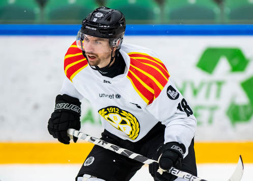 Brynäs Anton Rödin