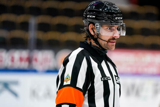 Domare Mikael Sjöqvist
