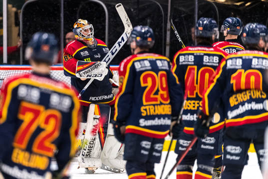 Djurgårdens målvakt Niklas Svedberg jublar med lagkamrater