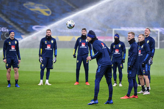 Albin Ekdal of the Swedish national football team