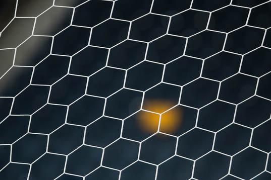 Meshes of a goal