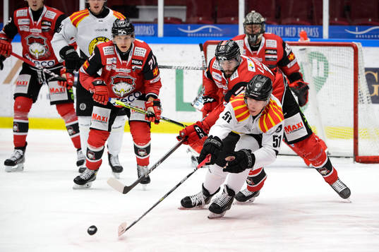 Brynäs Tomi Sallinen och Malmö Redhawks Jan-Mikael