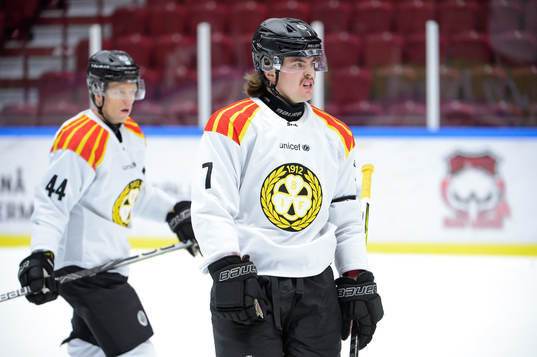 Brynäs Nicklas Danielsson och Marcus Björk deppar
