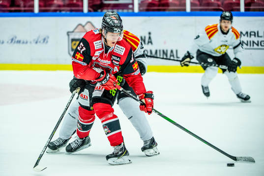 Brynäs Niclas Andersén mot Malmö Redhawks Emil Sylvegård