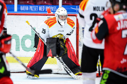 Brynäs målvakt Adam Matsson