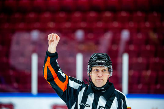 Domare Morgan Johansson