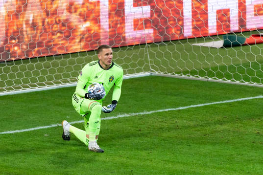 Goalkeeper Robin Olsen of Sweden