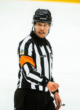 Domare Johan Magnusson