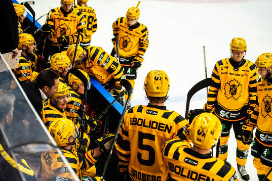Skellefteås spelare