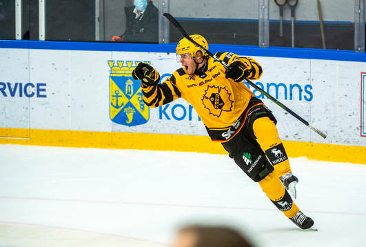 Skellefteås Rickard Hugg jublar