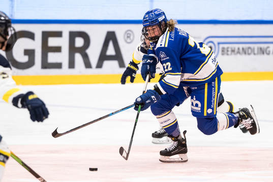 Leksands Dominique Rüegg