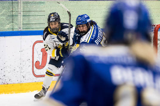 HV71s Anna Hanser och Leksands Amanda Butterfield