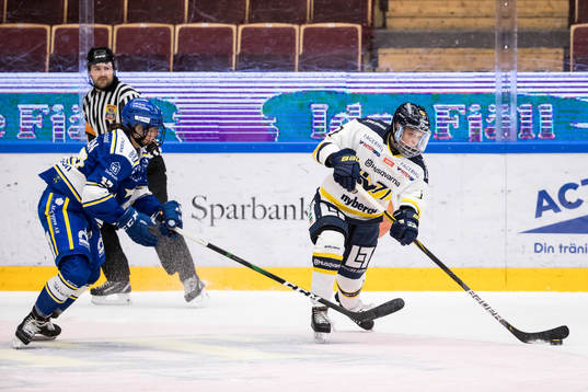 Leksands Maria Holm Peters och HV71s Danielle Stone