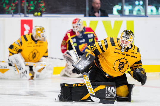 Skellefteås målvakt Arvid Söderblom