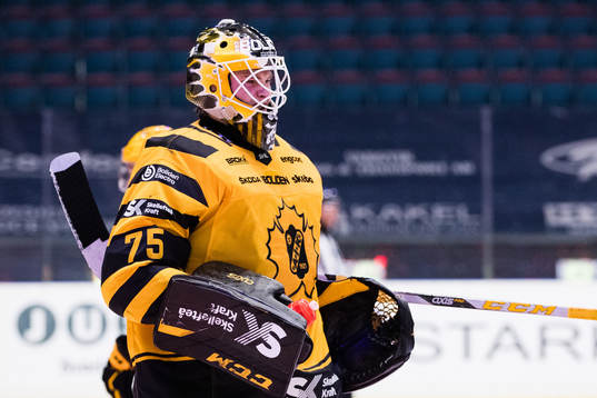 Skellefteås målvakt Arvid Söderblom deppar