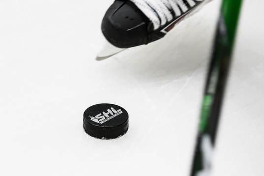 En puck, en skridsko och en klubba