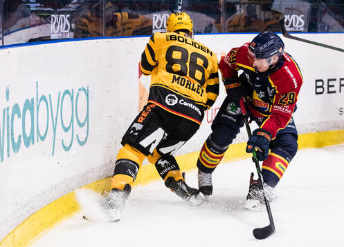 Skellefteås Tyler Morley och Djurgårdens Sebastian