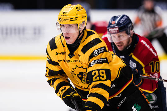 Skellefteås Albin Sundsvik och Djurgårdens Niclas Bergfors