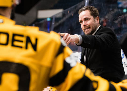 Skellefteås assisterande tränare Stefan Hedlund