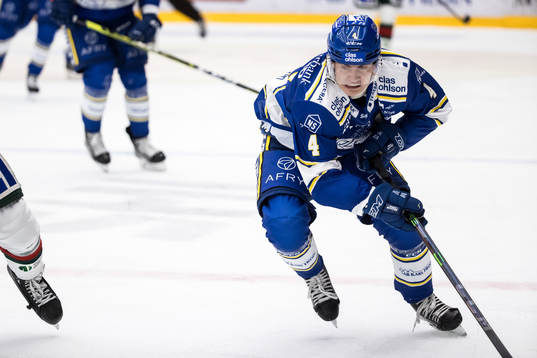 Leksands Erik Hedlund