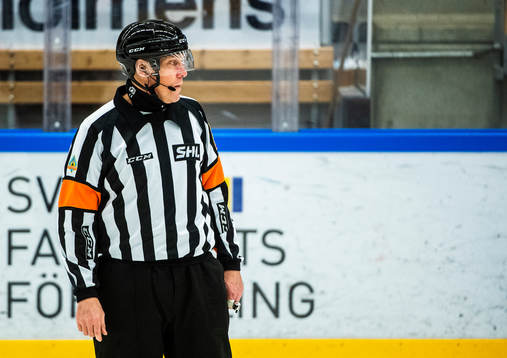Domare Morgan Johansson