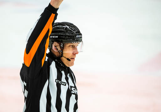 Domare Morgan Johansson