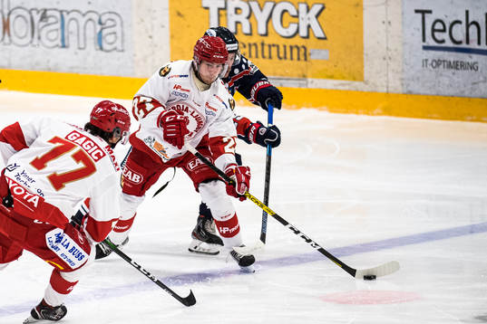 Trojas William Romfors och Victor Gagic