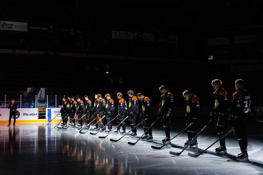 Brynäs spelare