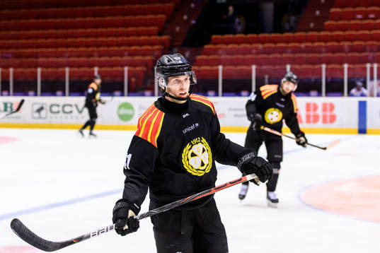 Brynäs Greg Scott deppar