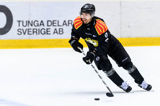 Brynäs Anton Rödin