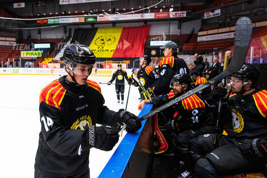 Brynäs Noel Gunler deppar