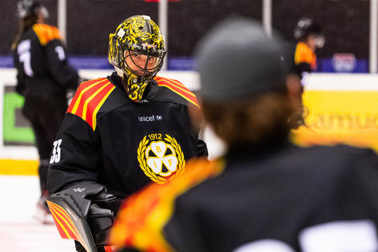 Brynäs målvakt Samuel Ersson deppar