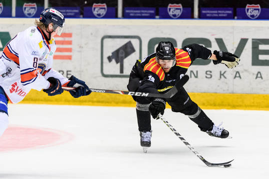 Brynäs Anton Rödin