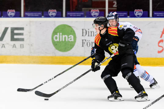 Brynäs Johan Alcén