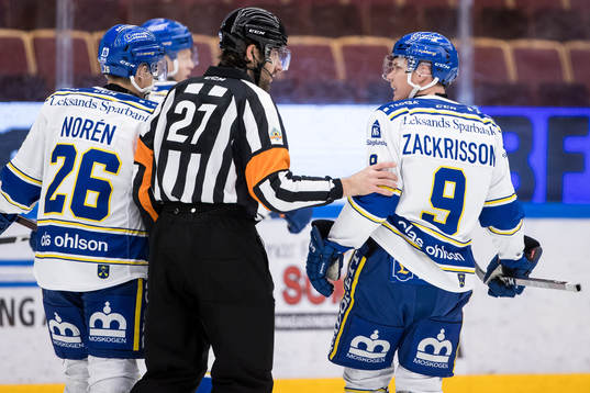 Domare Mikael Sjöqvist och Leksands Patrik Zackrisson