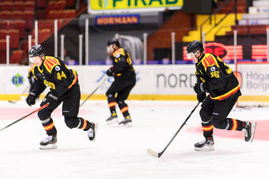 Brynäs Linus Ölund