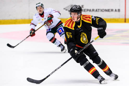 Brynäs Noel Gunler
