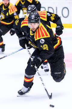 Brynäs Anton Rödin
