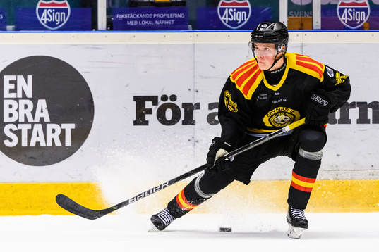 Brynäs Noel Gunler
