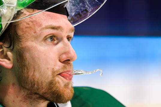 Färjestads målvakt Henrik Haukeland