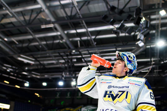 s målvakt Hugo Alnefelt