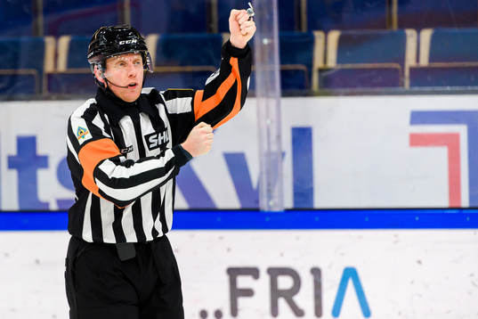 Domare Mikael Holm