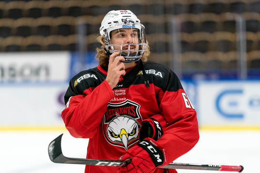 Malmö Redhawks Adam Brodecki