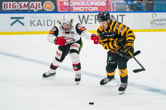 Malmö Redhawks Adam Brodecki och Skellefteås Philip
