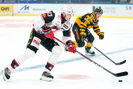 Malmö Redhawks Fredrik Händemark och Skellefteås Tuomas