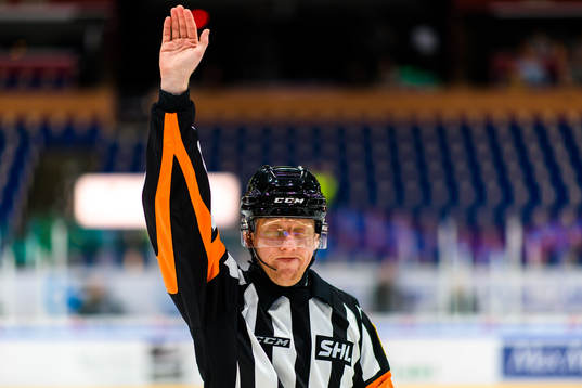 Domare Mikael Holm
