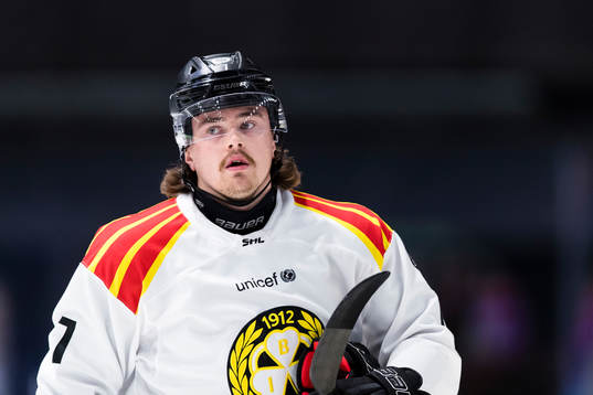 Brynäs Marcus Björk